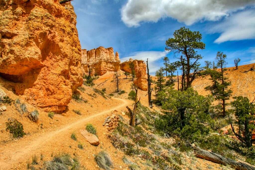 Hiker on trail near Zion National Park