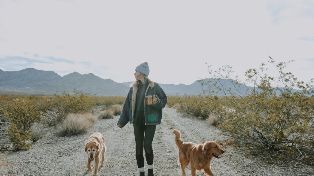 Woman hiking with dogs on desert trail near Zion National Park