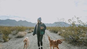 Woman hiking with dogs on desert trail near Zion National Park