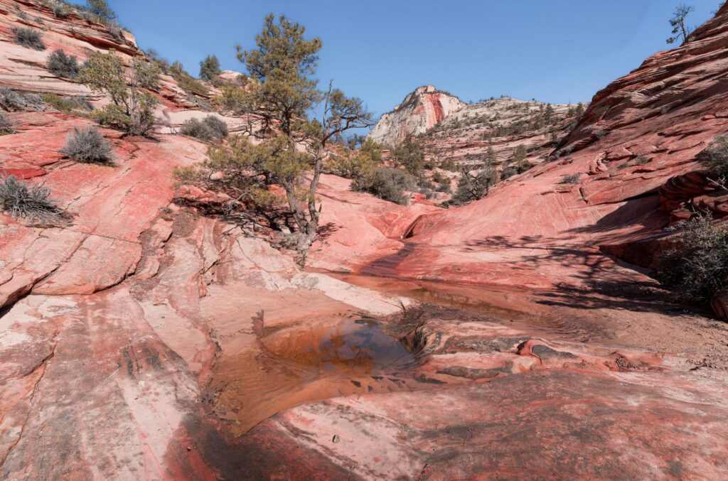 Father's Day Weekend Near Zion National Park: The Complete Outdoor Guide - Zion's Tiny Getaway