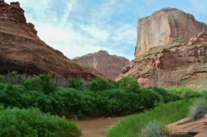How to Stay Cool Near Zion National Park This Summer - Zion's Tiny Getaway