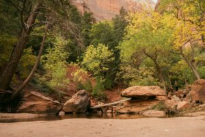 Tiny Home Vacation Rentals Near Zion National Park — Zion's Tiny Getaway