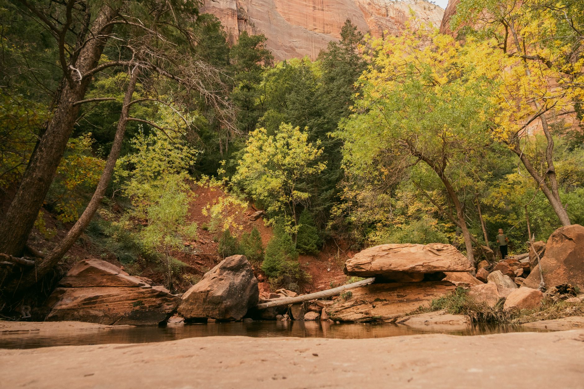 Tiny Home Vacation Rentals Near Zion National Park - Zion's Tiny Getaway