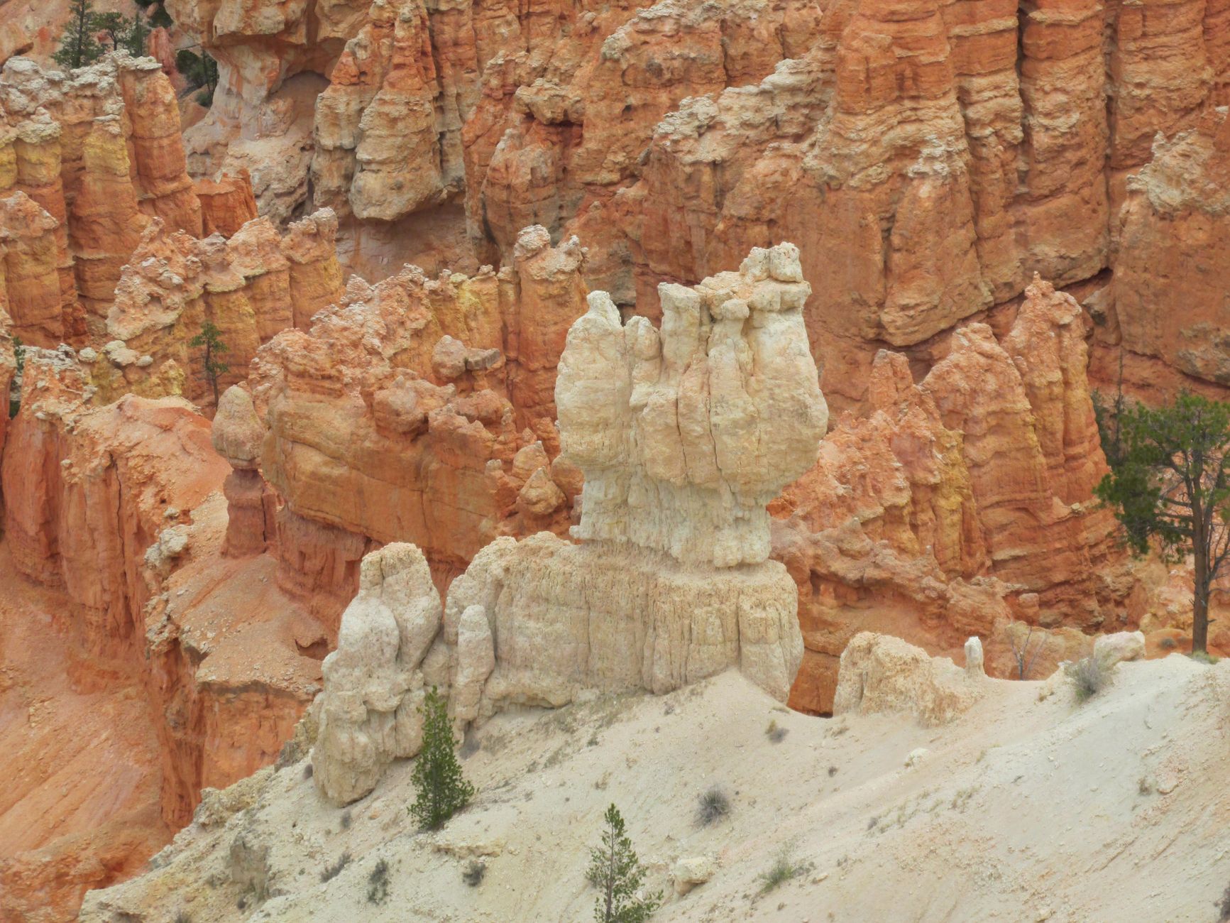 Bryce Canyon Day Trip from Zion - Zion's Tiny Getaway