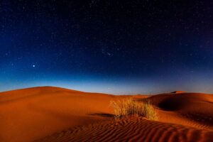Stargazing Near Zion: Best Dark Sky Spots in Southern Utah - Zion's Tiny Getaway