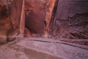 Best Easy Hikes in Zion National Park for Beginners - Zion's Tiny Getaway