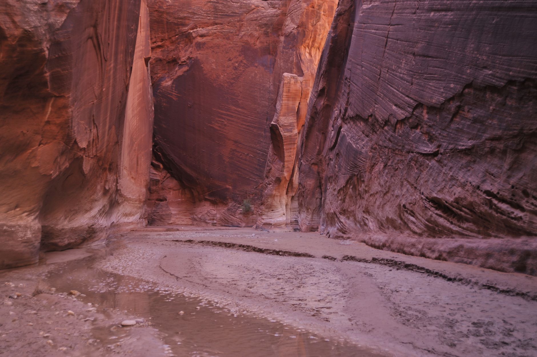 Best Easy Hikes in Zion National Park for Beginners - Zion's Tiny Getaway
