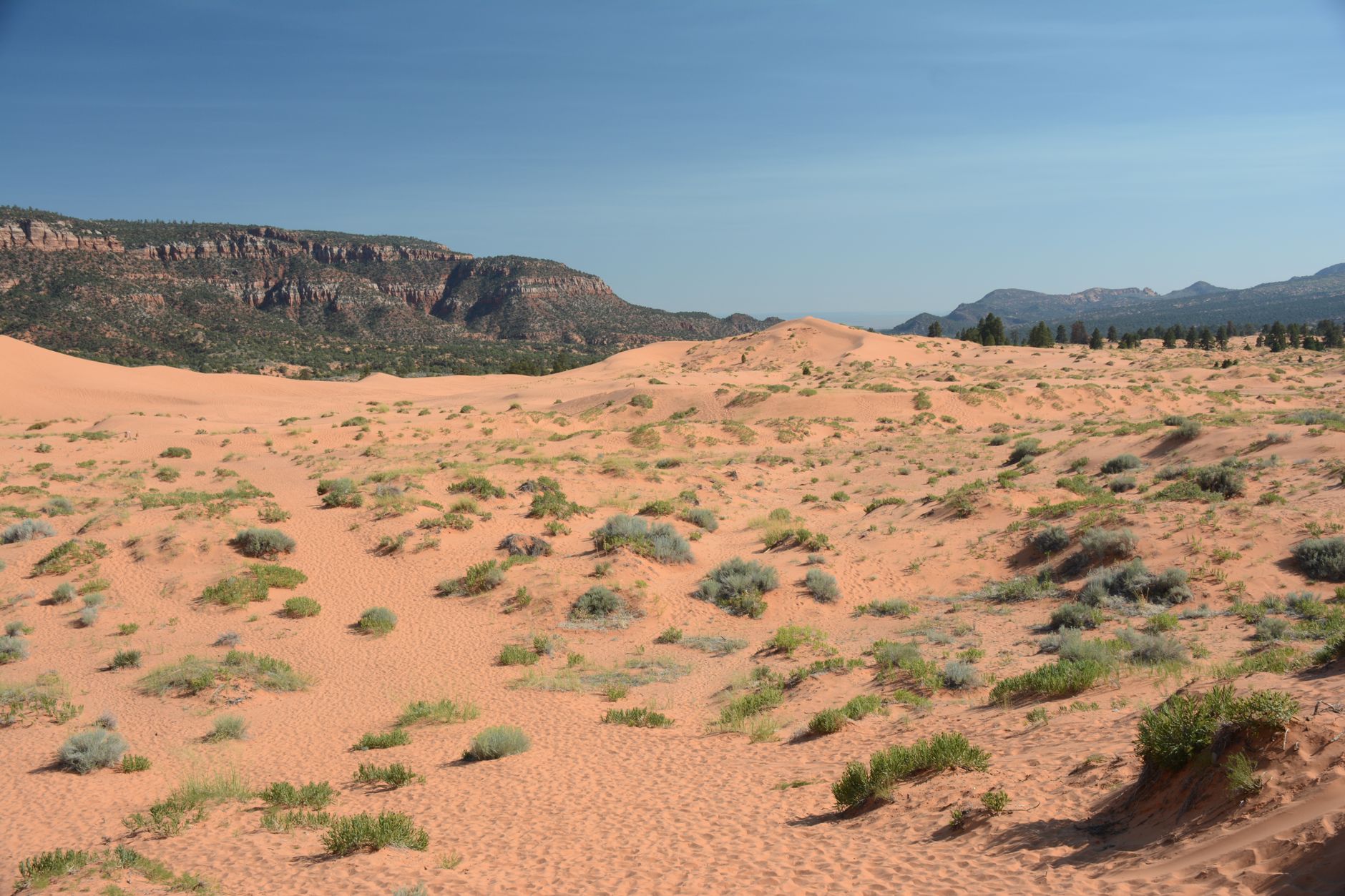 Kanab Utah Day Trip: Slot Canyons, Sand Dunes, and More - Zion's Tiny Getaway