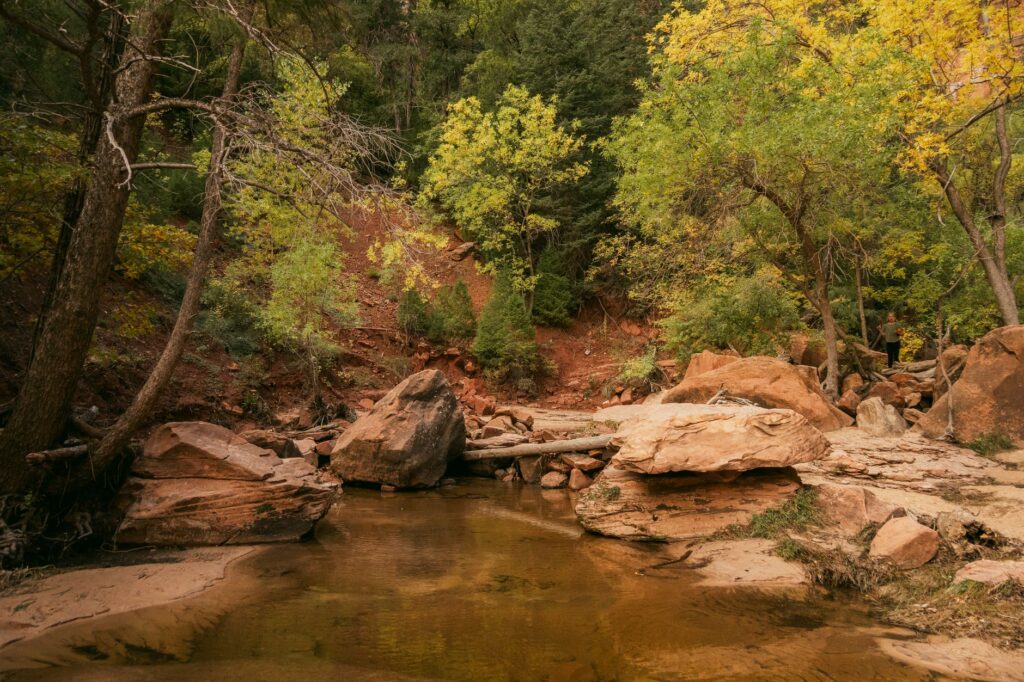 Zion in the Fall: Foliage, Weather, and Smaller Crowds - Zion's Tiny Getaway