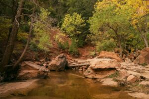Zion in the Fall: Foliage, Weather, and Smaller Crowds - Zion's Tiny Getaway